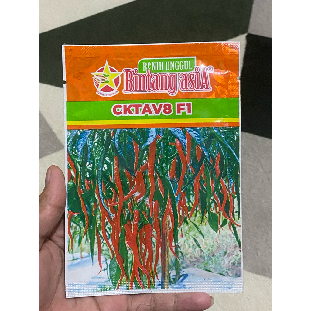 

Cabe Keriting Hibrida Cktav 8&9 Buah Muda Hijau Gelap