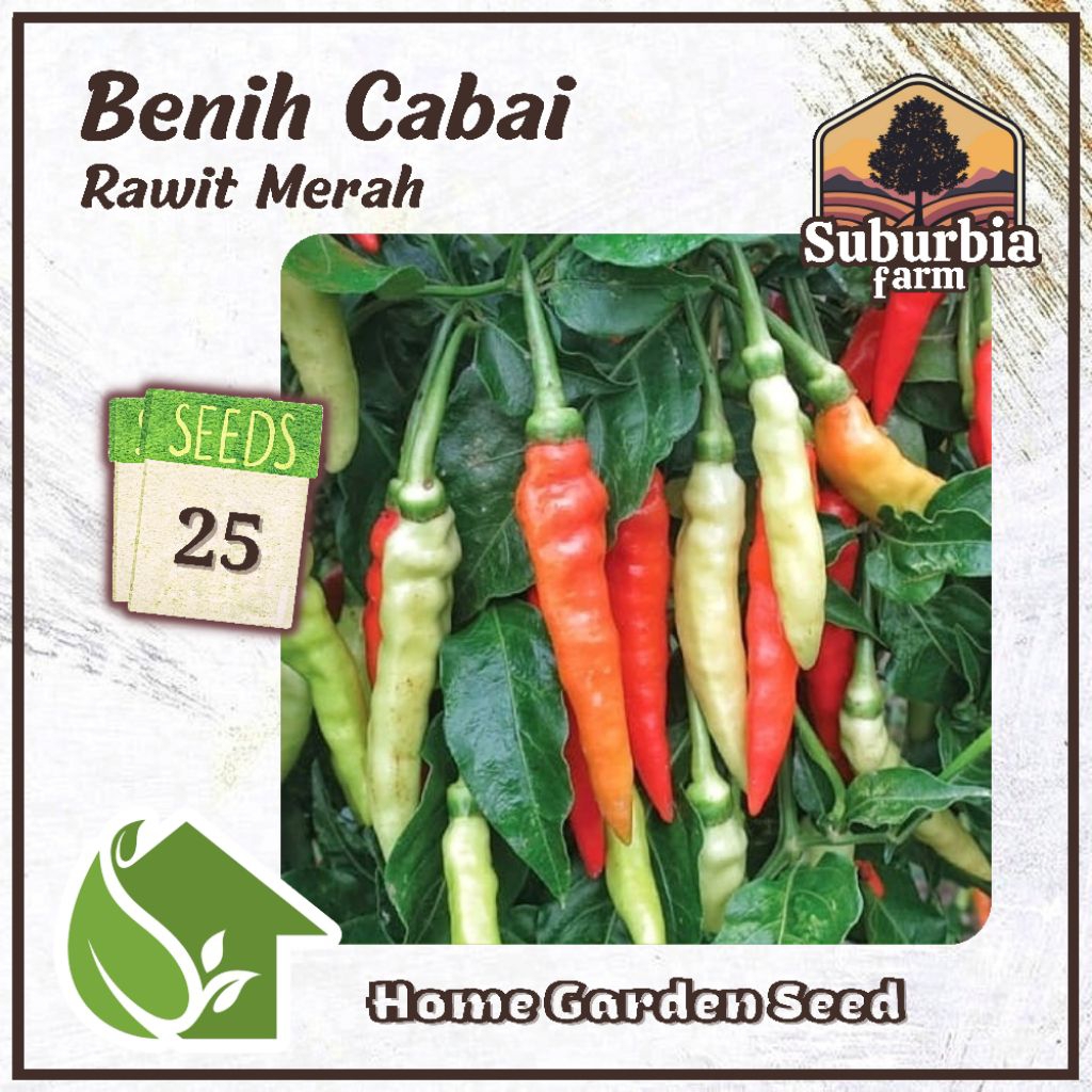 25 Biji Benih Cabai Rawit Merah Gantung Bibit Cabe Rawit Setan