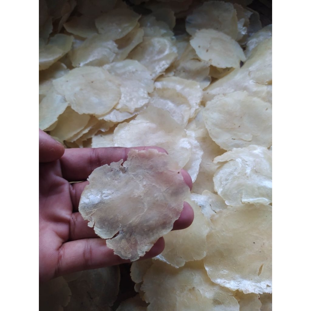 

EMPING MELINJO ORIGINAL READY EMPING MELINJO PILIHAN