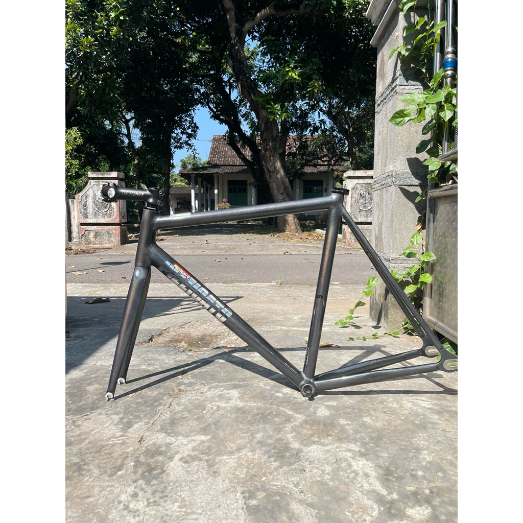 Frameset Pizzicato T1 Size XL (57) Used