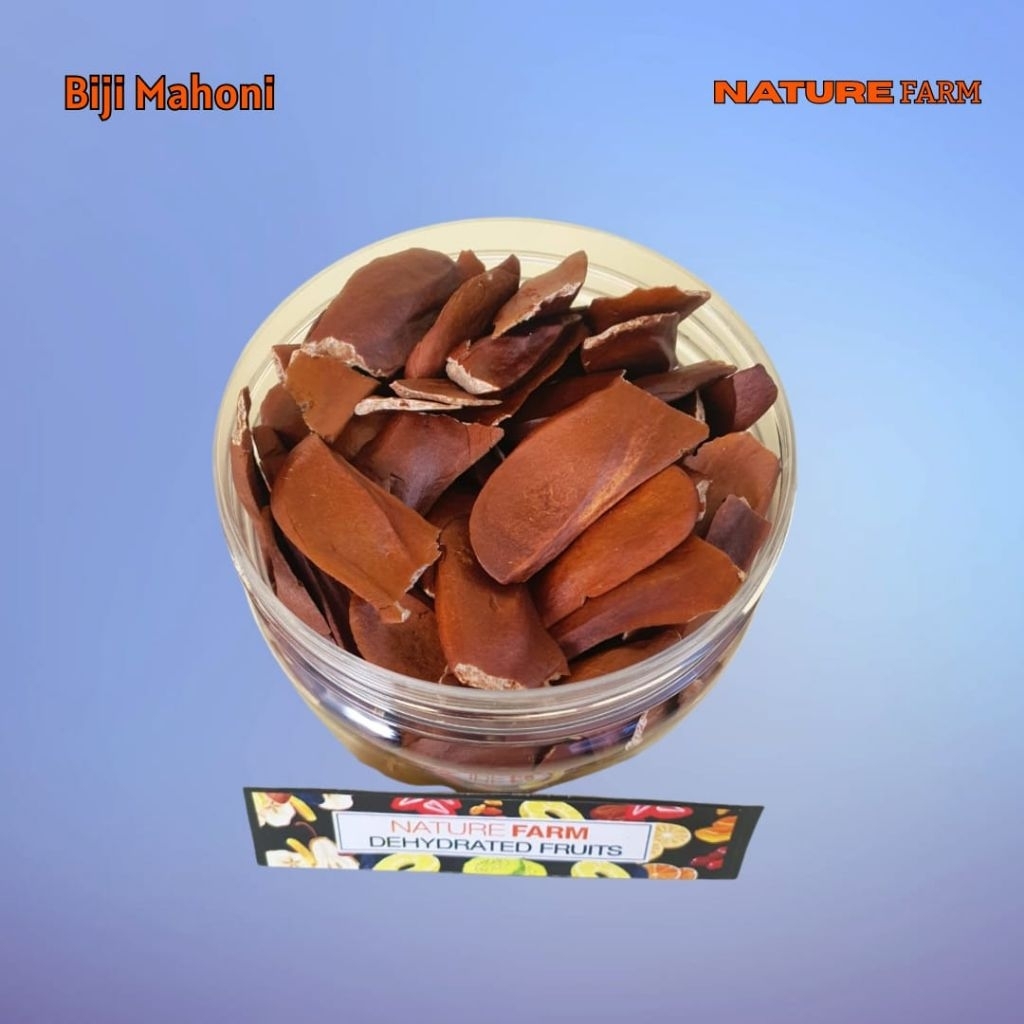 

Nature Farm Premium Biji Mahoni Kering - Mahogany Seed 50gr 100gr 250gr 500gr