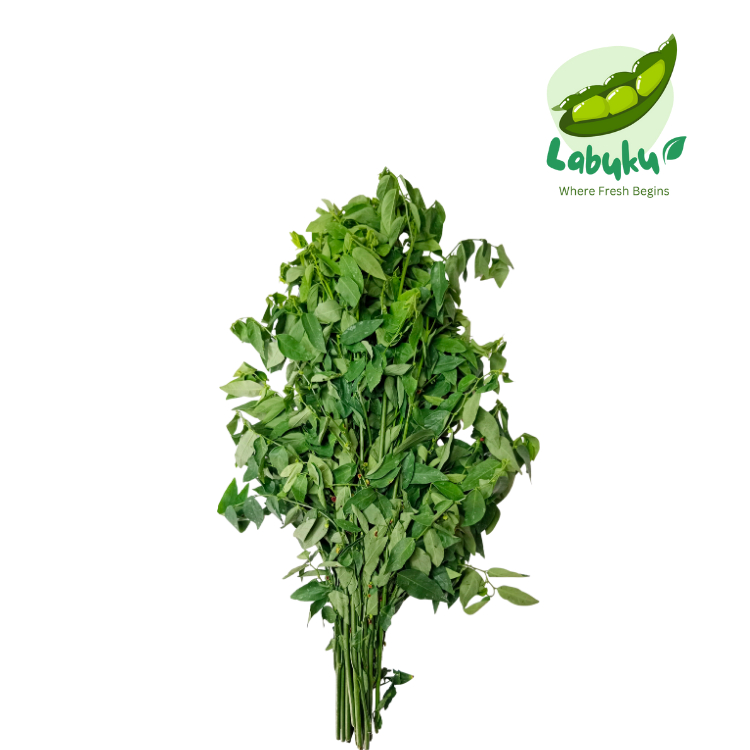 

Labuku – Sayur Katuk / Katu / Katukan / Babing / Simani Segar Premium Lokal