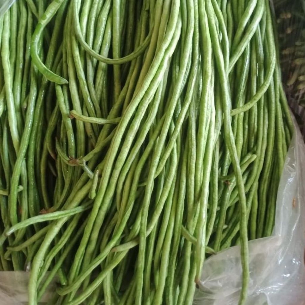 

Sayur kacang panjang organik lokal 500gr / ½kg | String beans