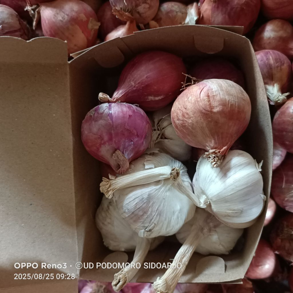 

paket hemat bawang merah India dan bawang putih sico kotor 500 gr bawang merah India 250 gr dan bawang putih sico kotor 250 gr kering bagus