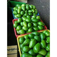 

Alpukat mentega ukuran kecil/mini mulus 1 kg