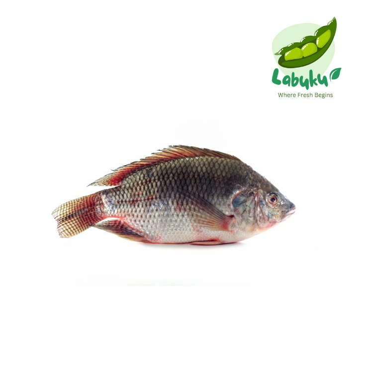 

Labuku – Ikan Nila Segar Premium Lokal