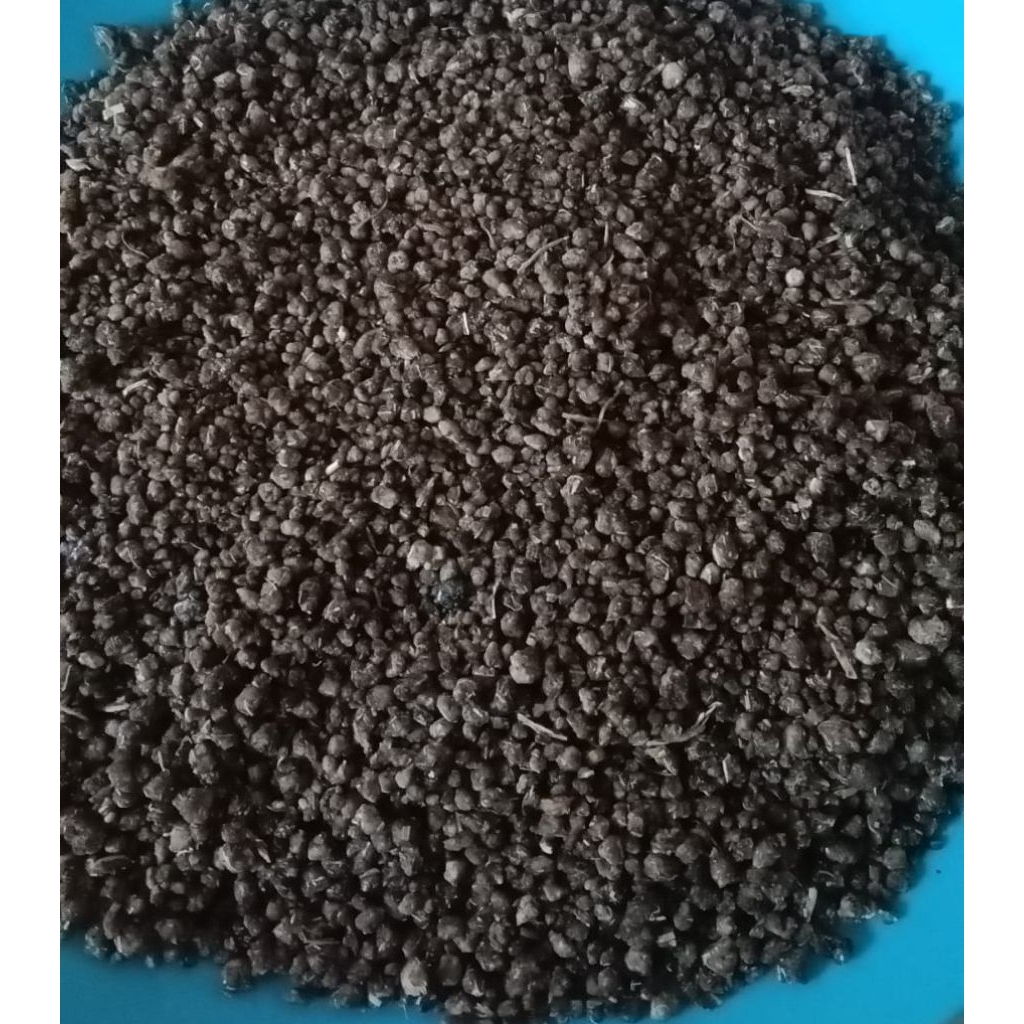 

TIWOL HITAM SUPER 1KG BERAS TIWUL HITAM