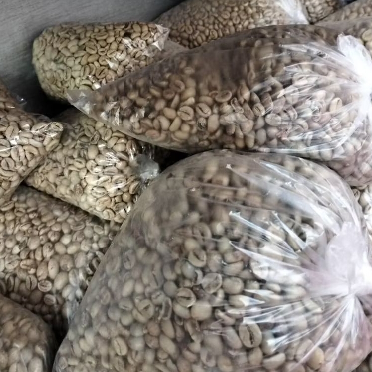 

Koppi Mentah Berkwalitas