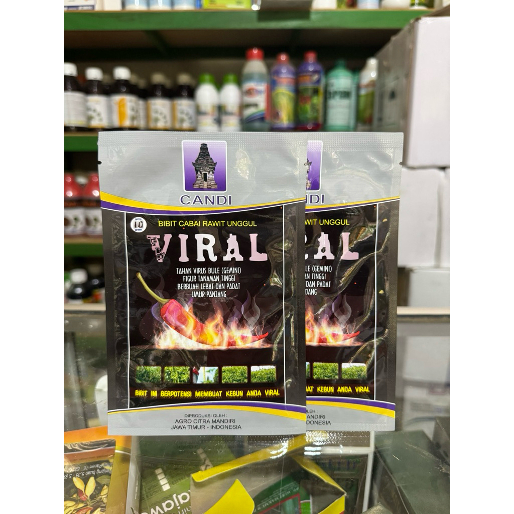 Benih Cabe Rawit Viral Original Candi 10 gram