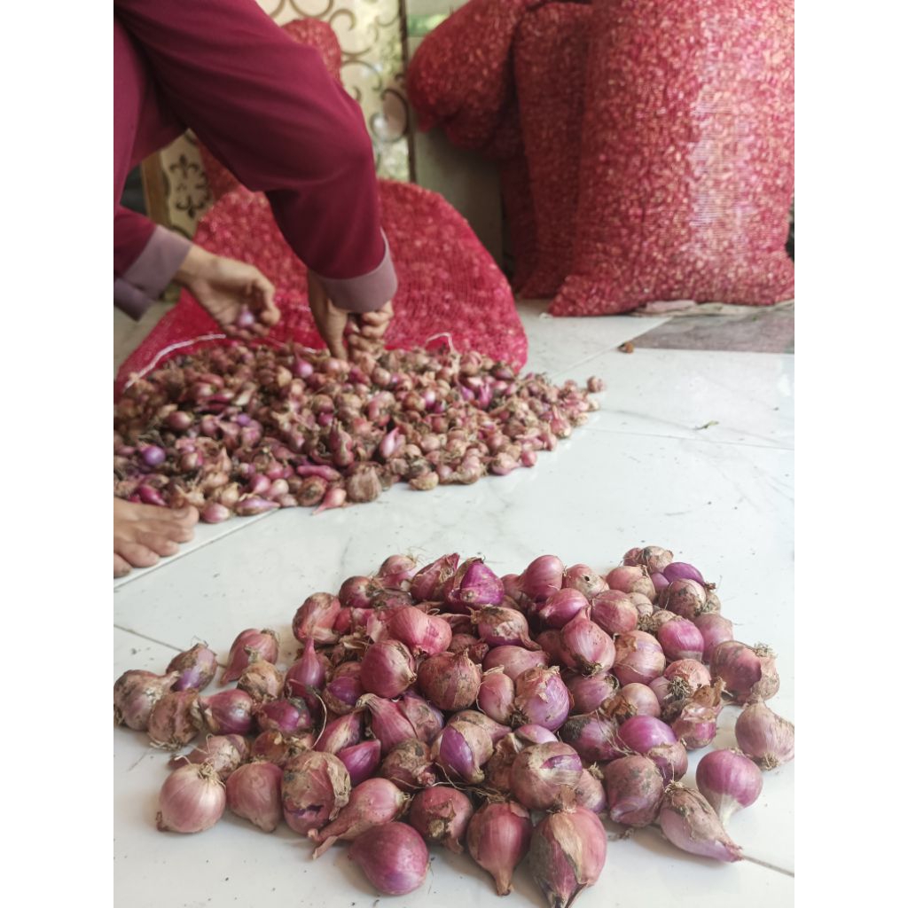 

Bawang Merah Nganjuk 1kg kualitas Super Jumbo