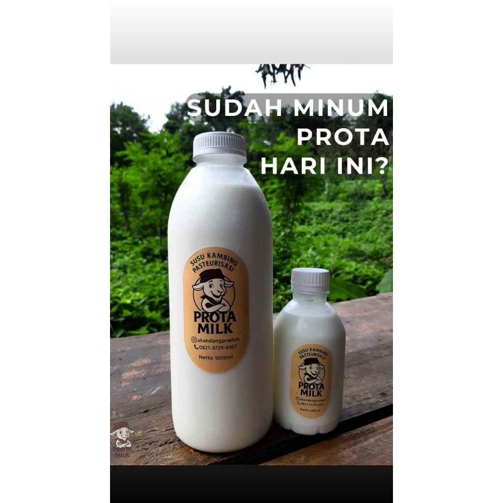 

prota milk MURNI susu kambing 100% khusus pulau jawa