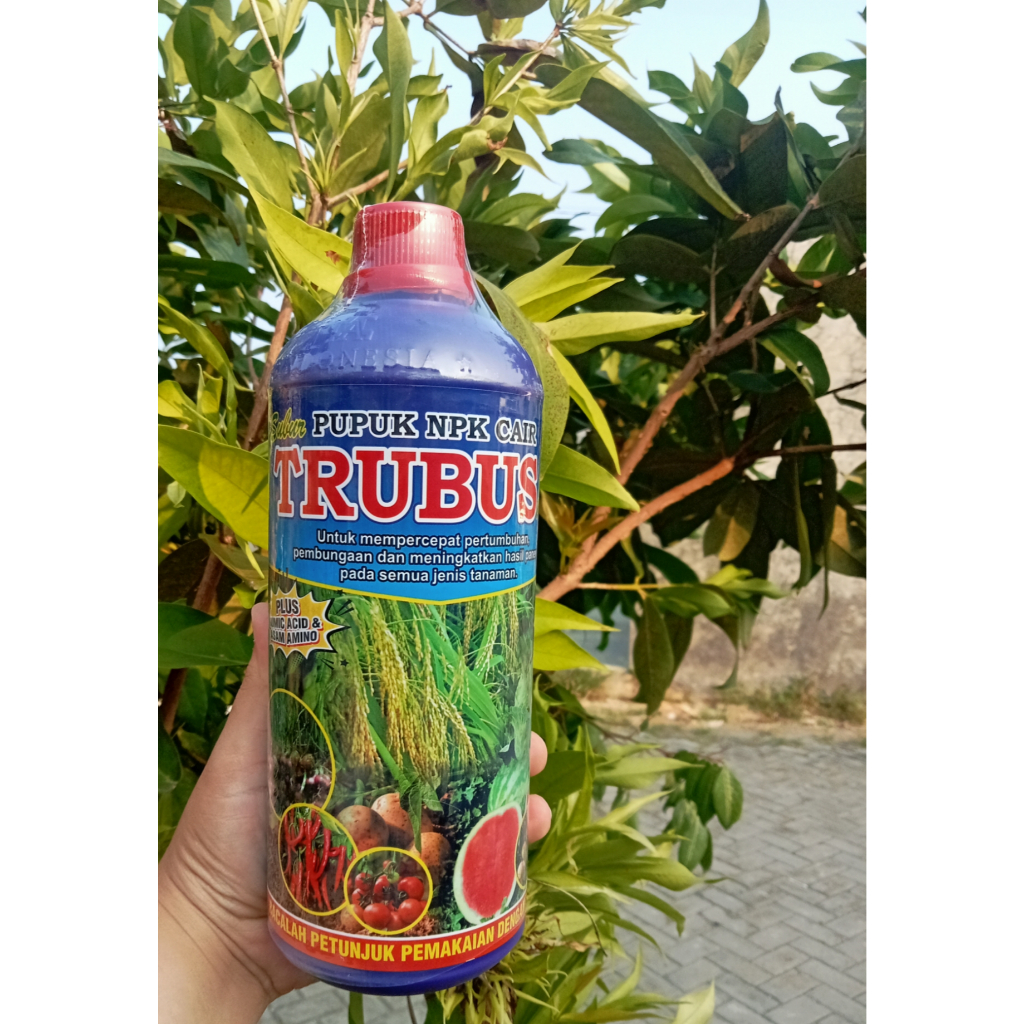 Pupuk NPK Cair Trubus Plus