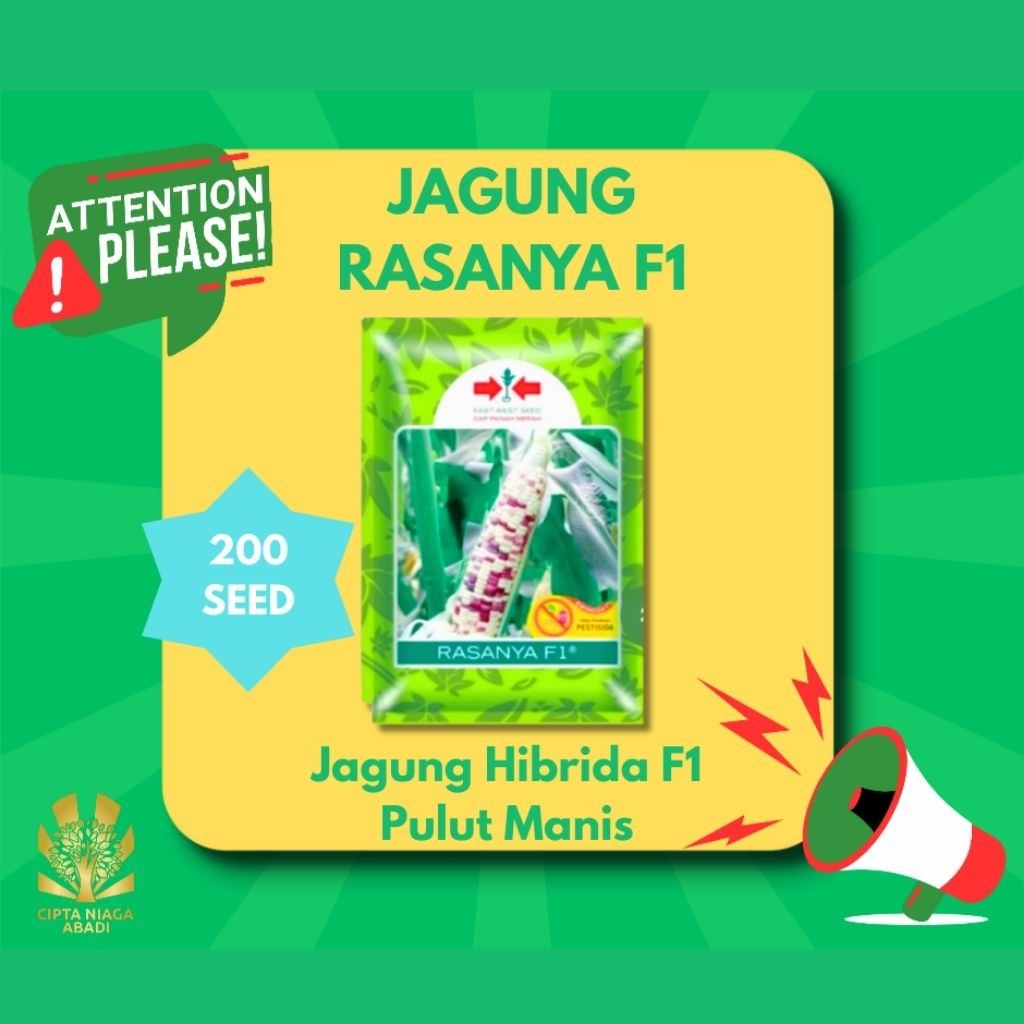 Benih Jagung Pulut manis RASANYA F1, 200 Seed