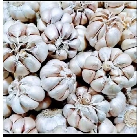 

bawang putih