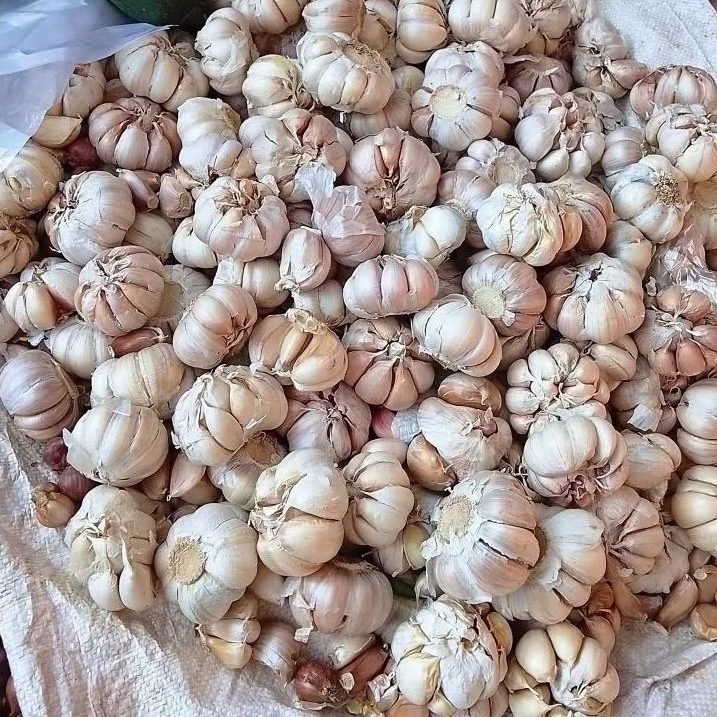 

Bawang Putih Sinco Bersih Kemasan 1kg