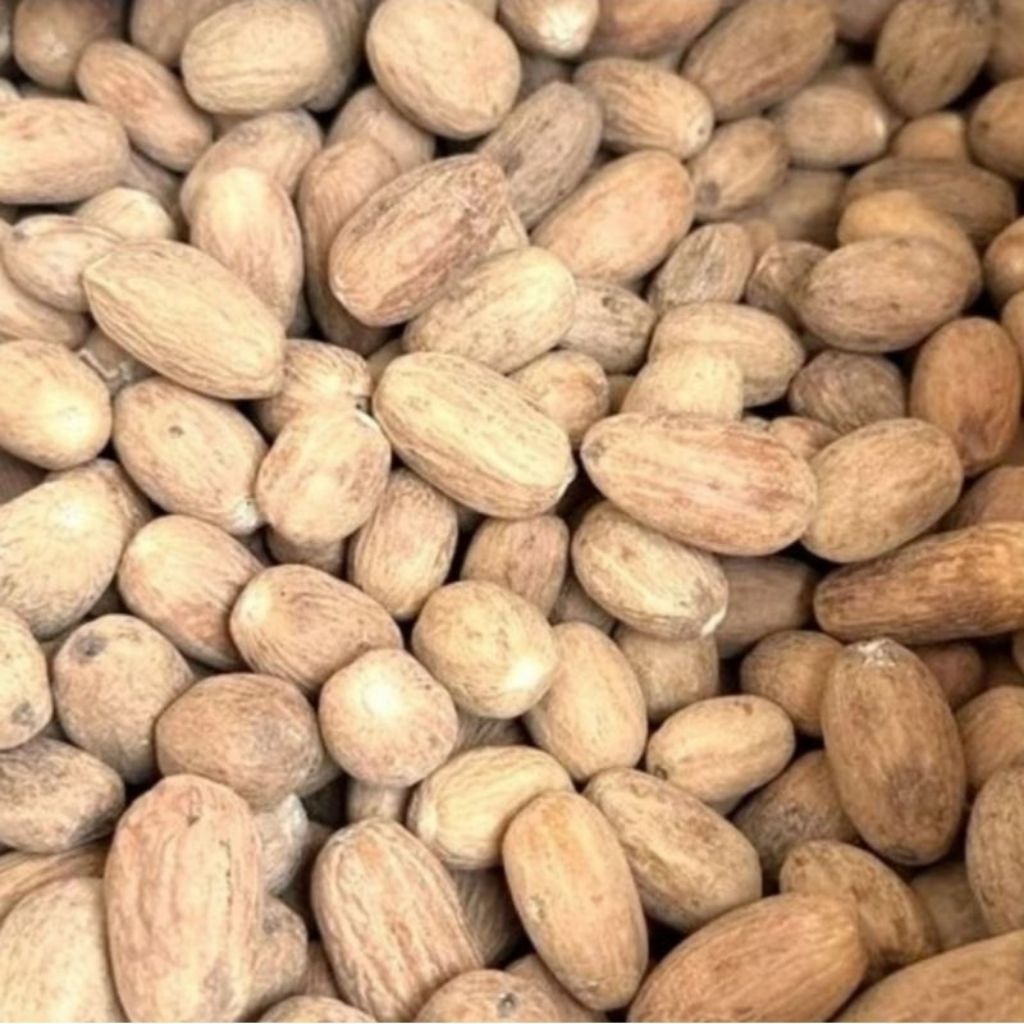 

Biji pala lonjong premium, biji pala kering, pala asli Indonesia, rempah dapur herbal