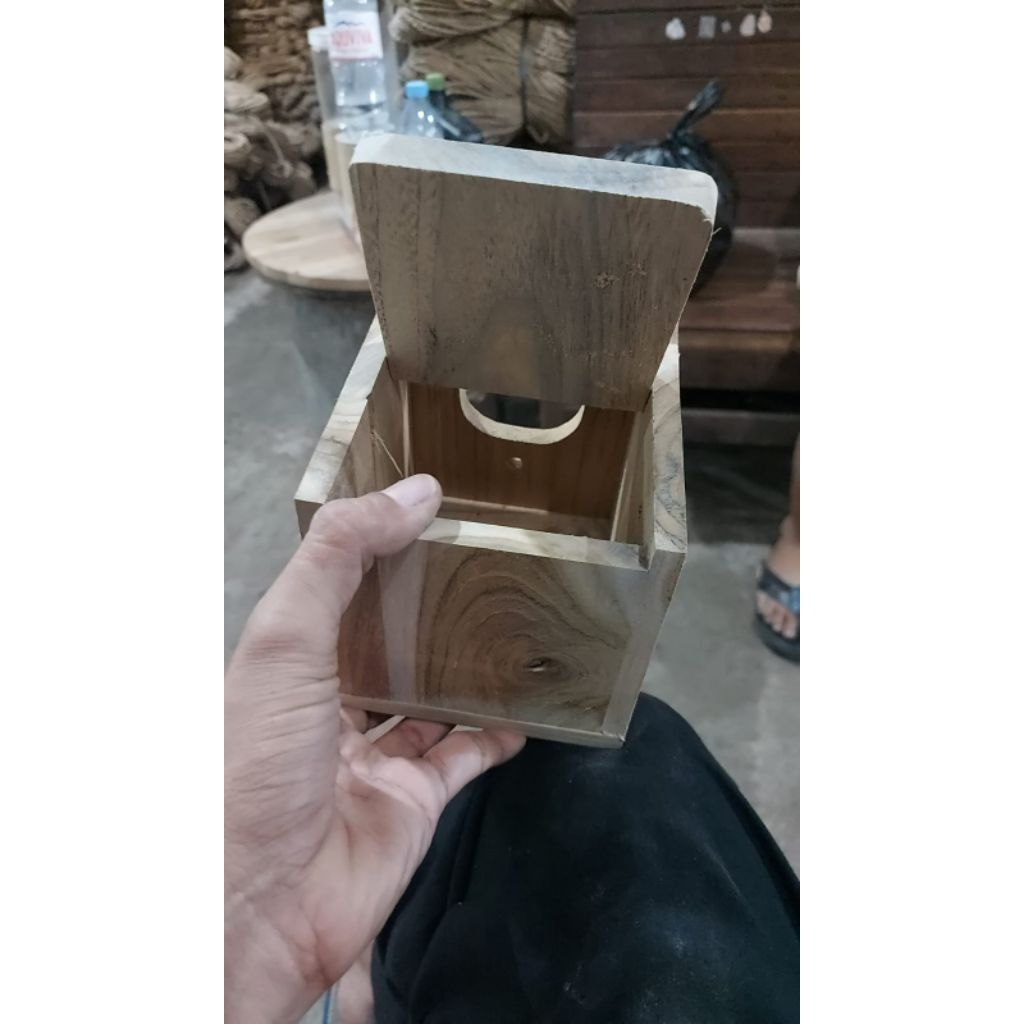 Glodok emprit,glatik, finch burung kecil