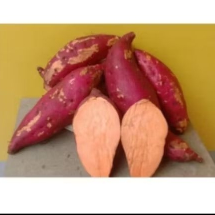 

PROMO 1kg UBI JALAR PULEN UMBI merah dalam OREN langsung dari petani terlaris Termurah