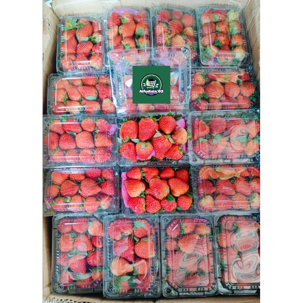 

Strawberry MK Buah Stroberi 250gr