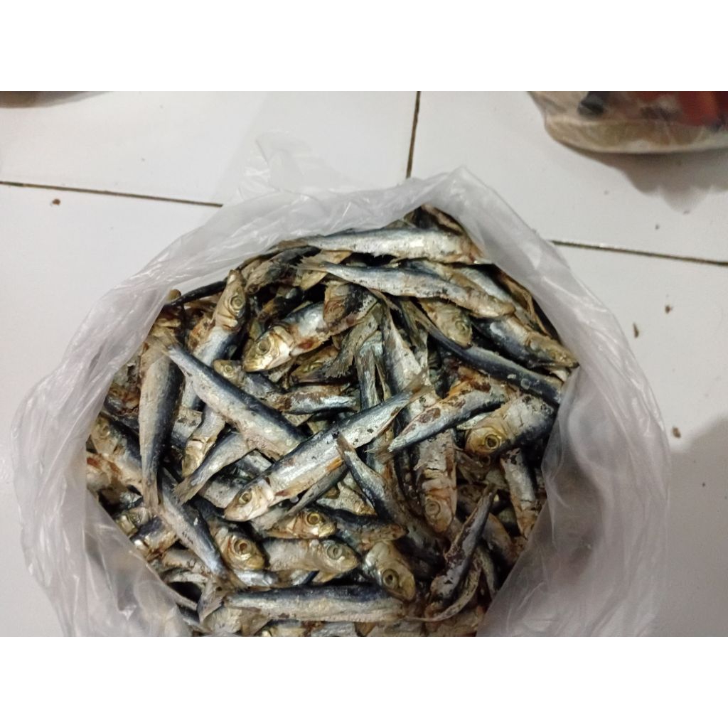 

Ikan Asin Japuh Kecil, Gocengan/5000an