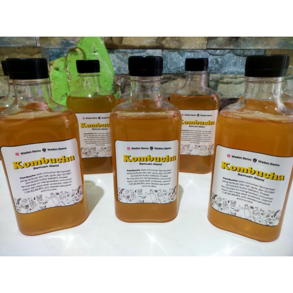 

kombucha starter 300ml original