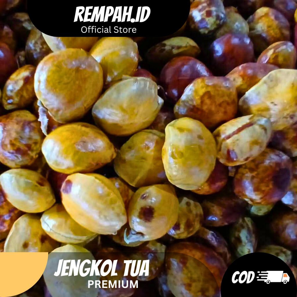 

Jengkol Tua Kupas Premium 1 KG Cocok Untuk Dibikin Semur