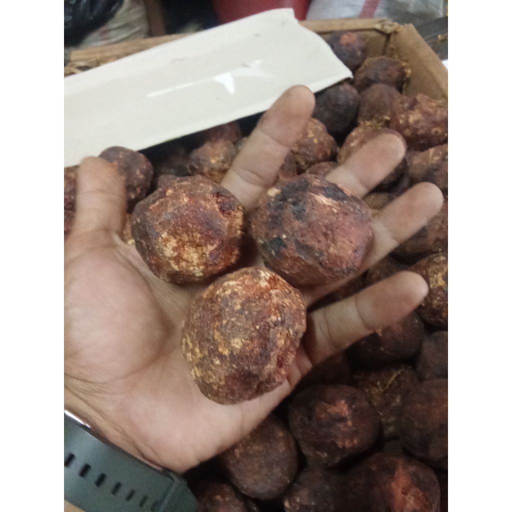 

GAMBIR BULAT GAMBIR BULAT ASLI PER 1PCS