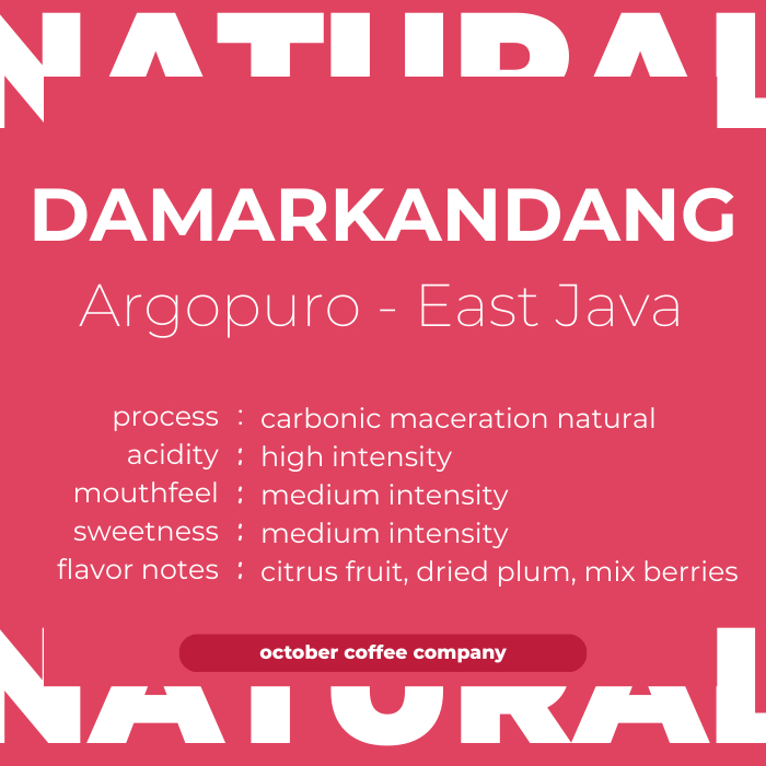

DAMARKANDANG CARBONIC MACERATION NATURAL - Kopi Argopuro, Single Origin, Arabica