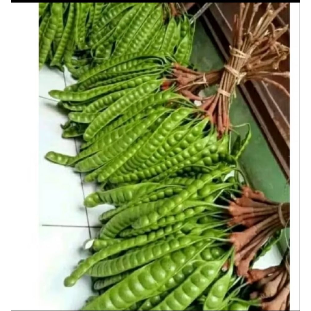 

pete tua per ikat 10 papan.