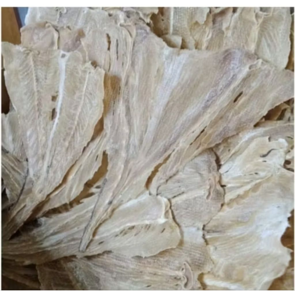 

Ikan Pari Asin Medan Super 500g, 250g