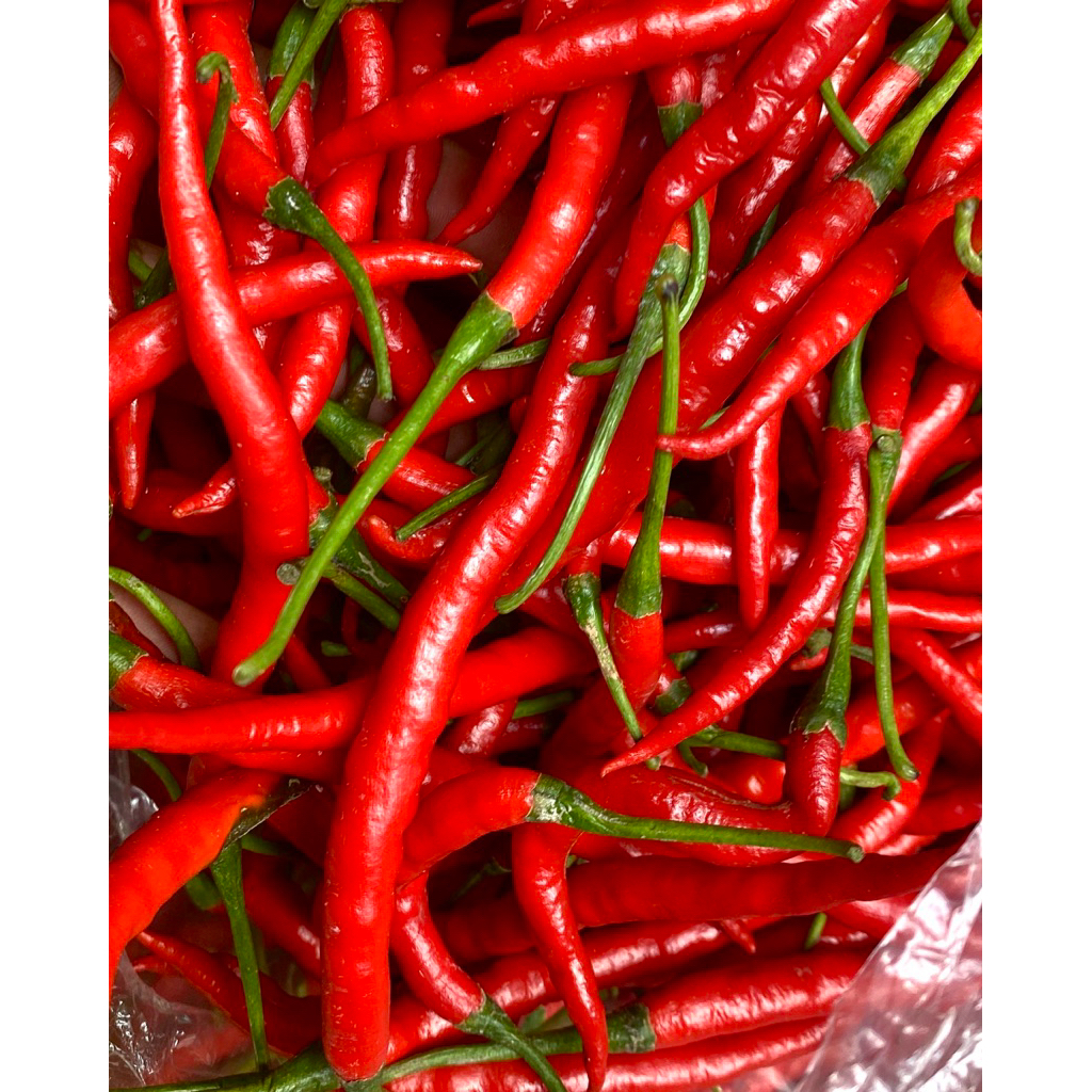 

Cabe Merah / Cabe Kriting Fresh 1kg