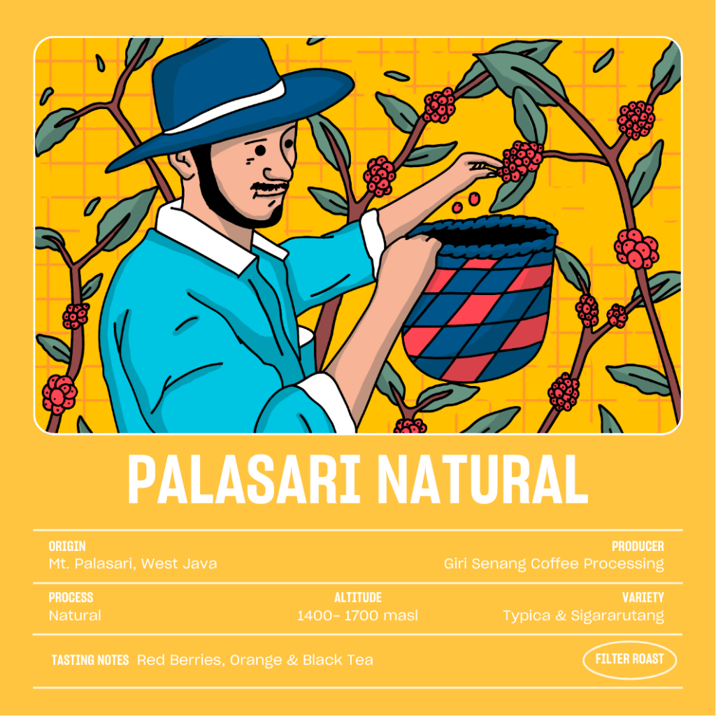 

Kopi Arabika Jawa Barat PALASARI NATURAL (1 KG) Single Origin Specialty Coffee Arabica Beans