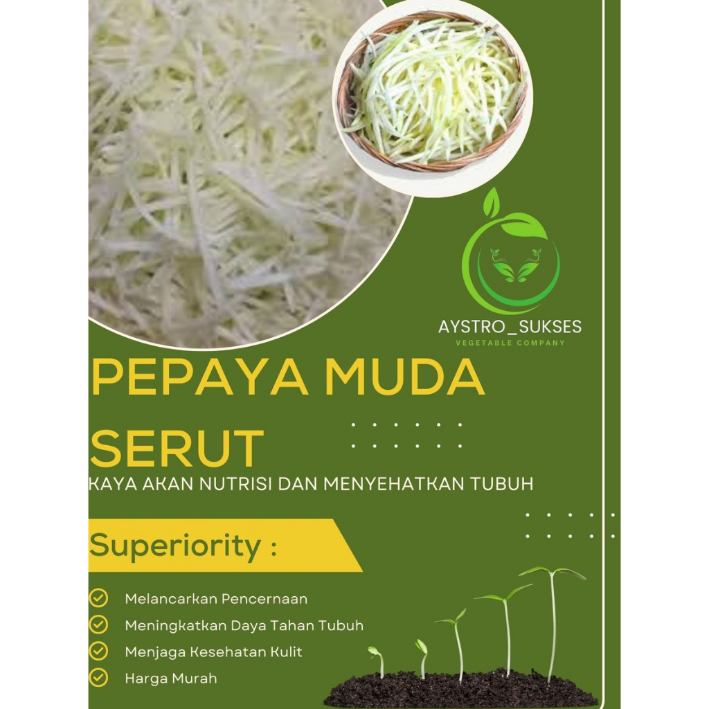 

PROMO!! Pepaya Muda Serut siap MASAK