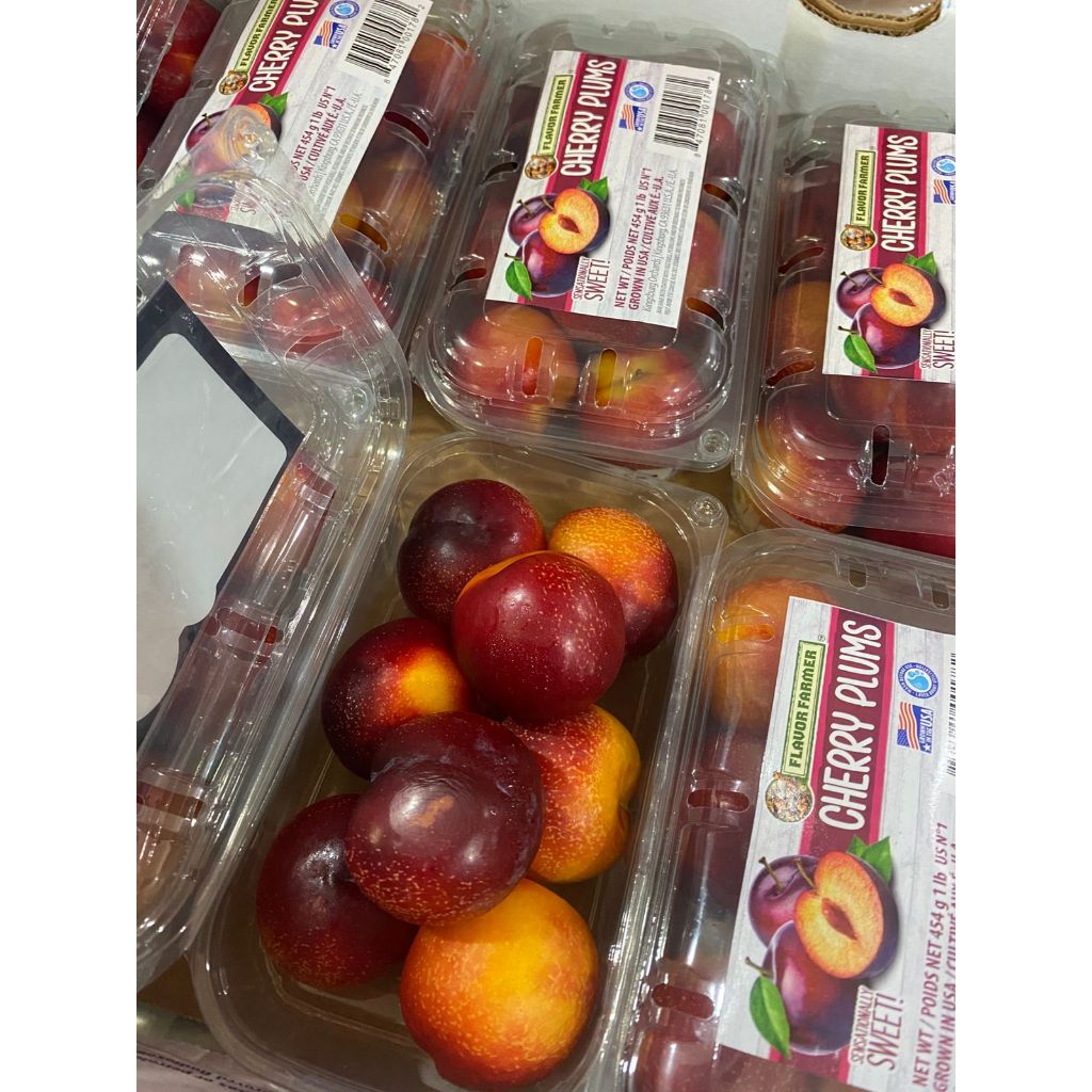 

CHERRY PLUM MANIS ENAK FRESH SEGAR BOX PAKET BUAH