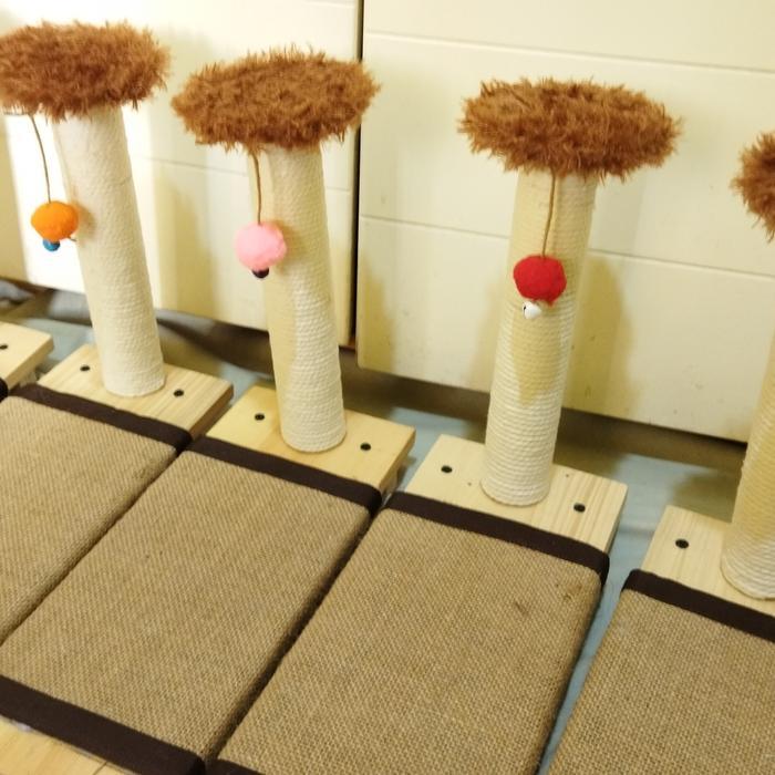 cakaran garukan kucing persia, kampung 2 in 1