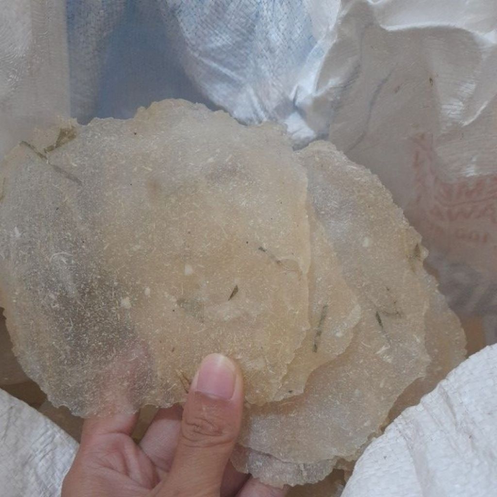 

Opak / Kicimpring home made 500 gram