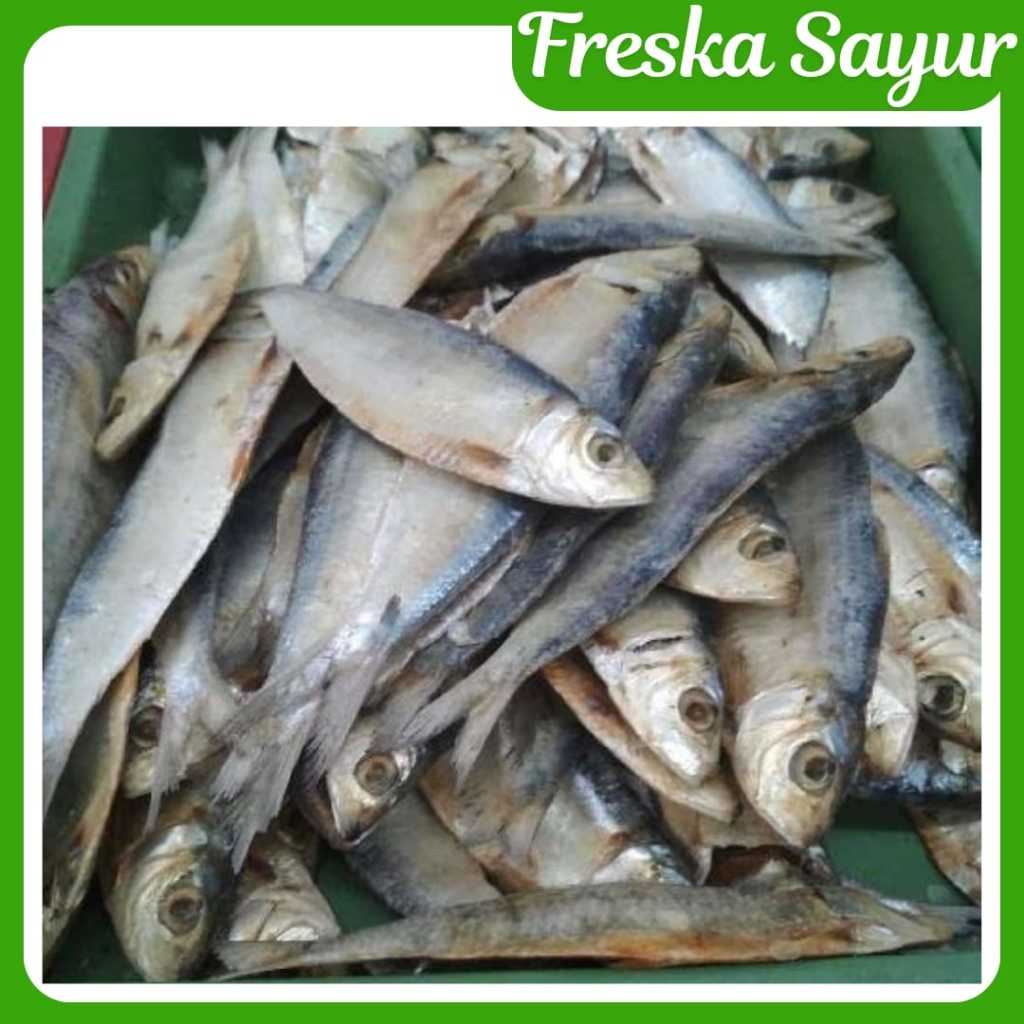 

Ikan Asin Tembang 250 gr I Kering Gurih, Siap Goreng & Cocok Untuk Lauk Harian