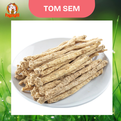 

TONG SEM / DANG SHEN / BUNTONG /TONG SIM CODONOPSIS ROOT 100 - 250 GRAM