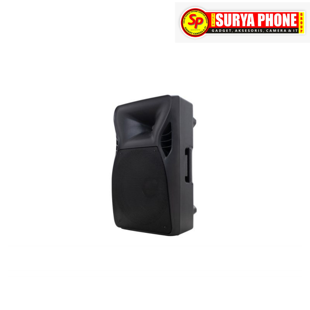 SPEAKER POLYTRON PAS PRO15F5