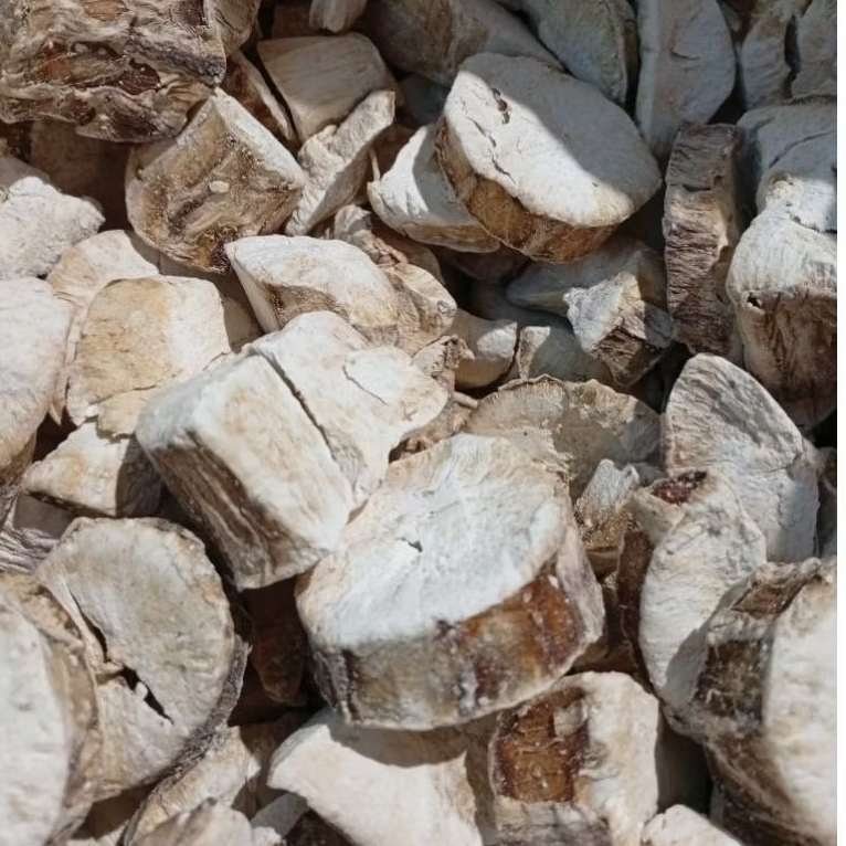 

Singkong kering Gaplek Gatot