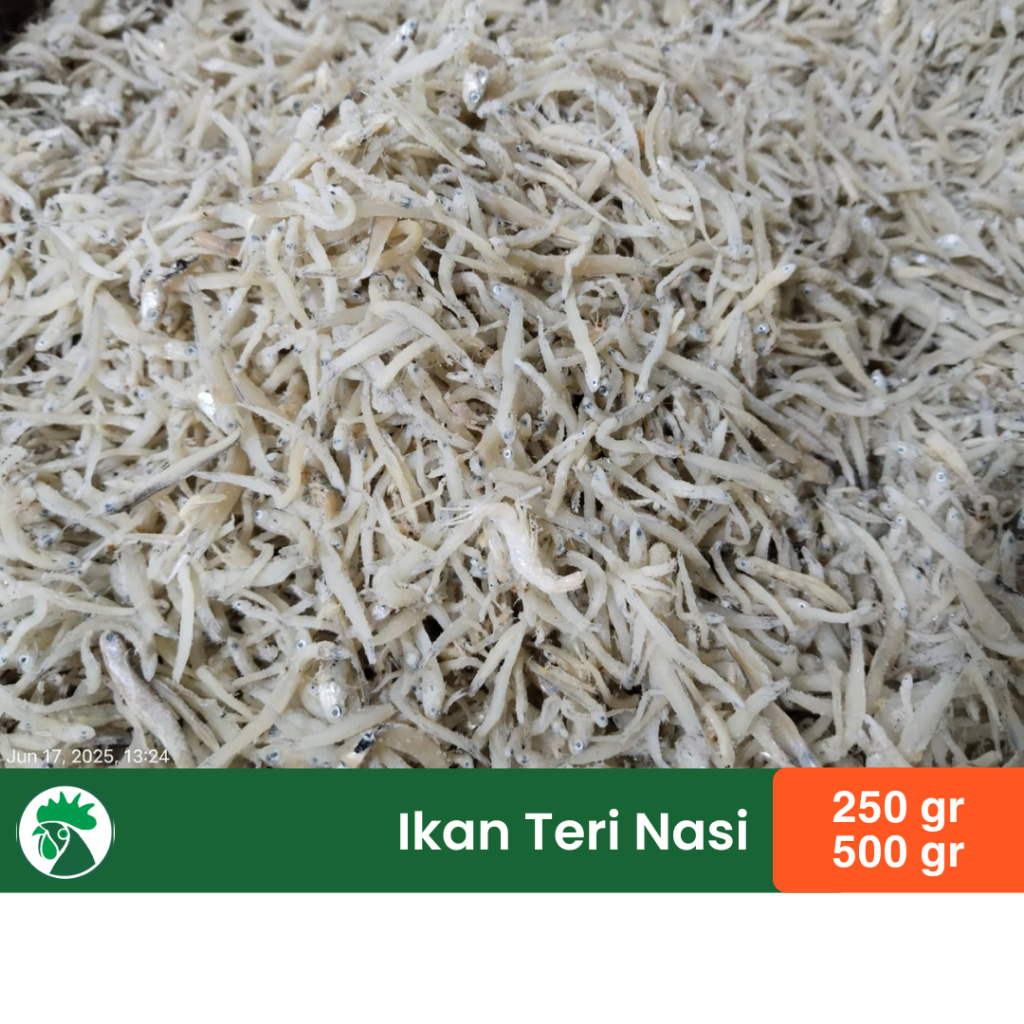 

Ikan Teri Nasi | Teri Halus Medan