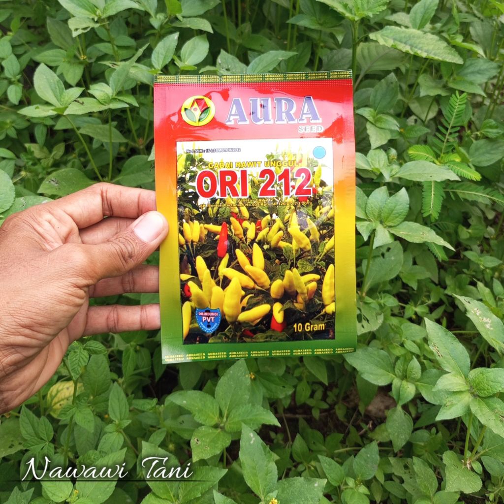 10 GRAM BENIH CABE RAWIT UNGGUL ORI 212 ORIGINAL