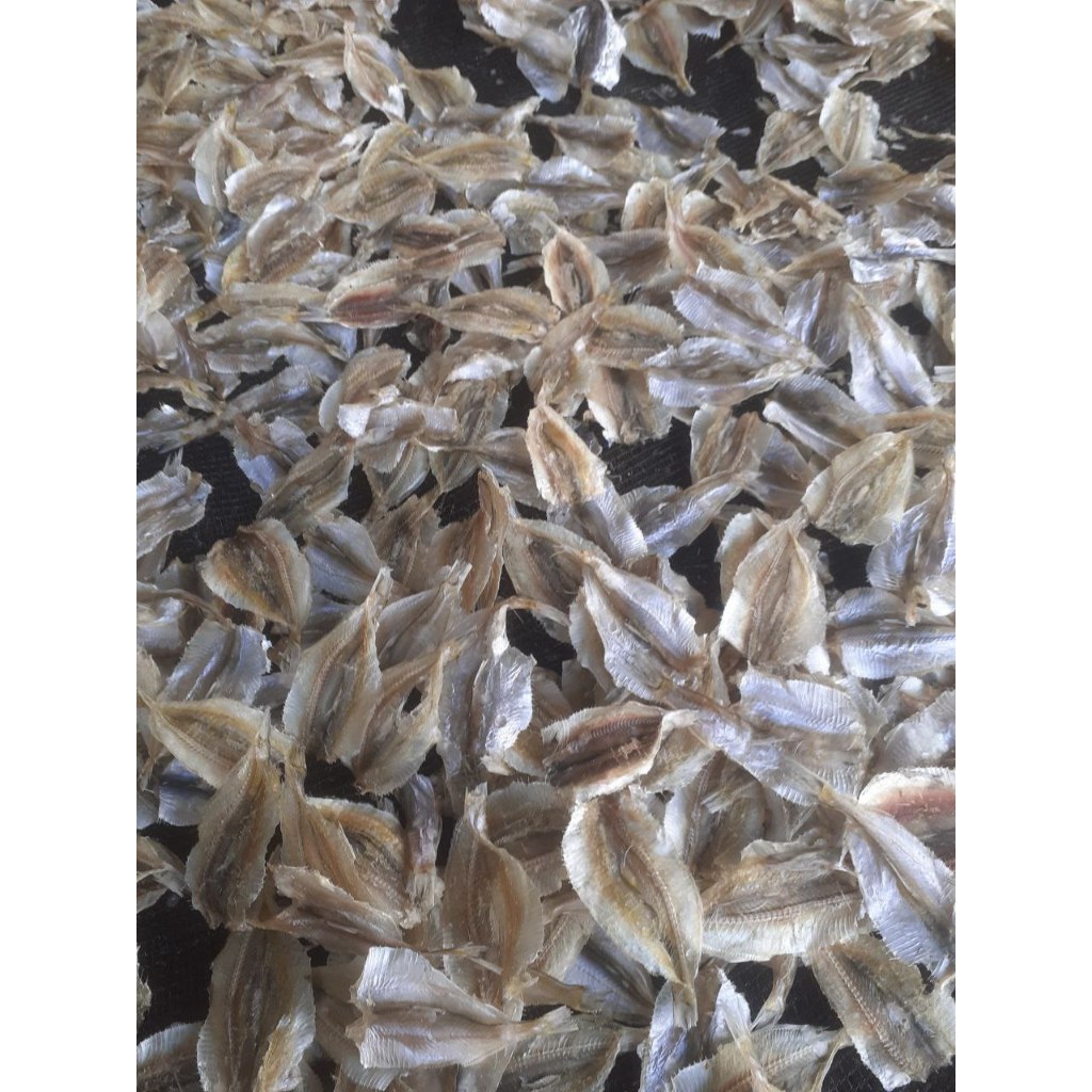 

Ikan asin kalapan lempok tawar gurih enak CUMA 5 RB AJA PER BUNGKUS