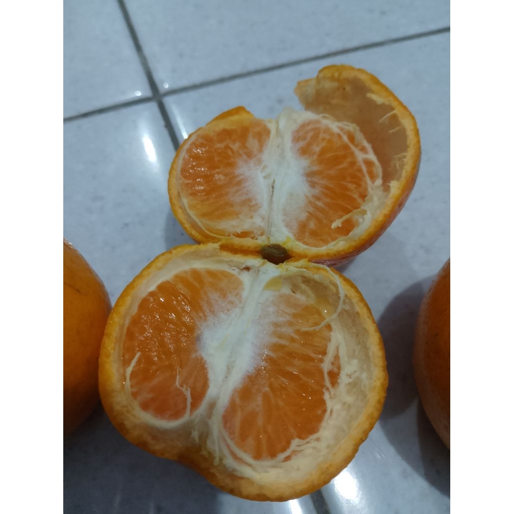 

jeruk wogan madu