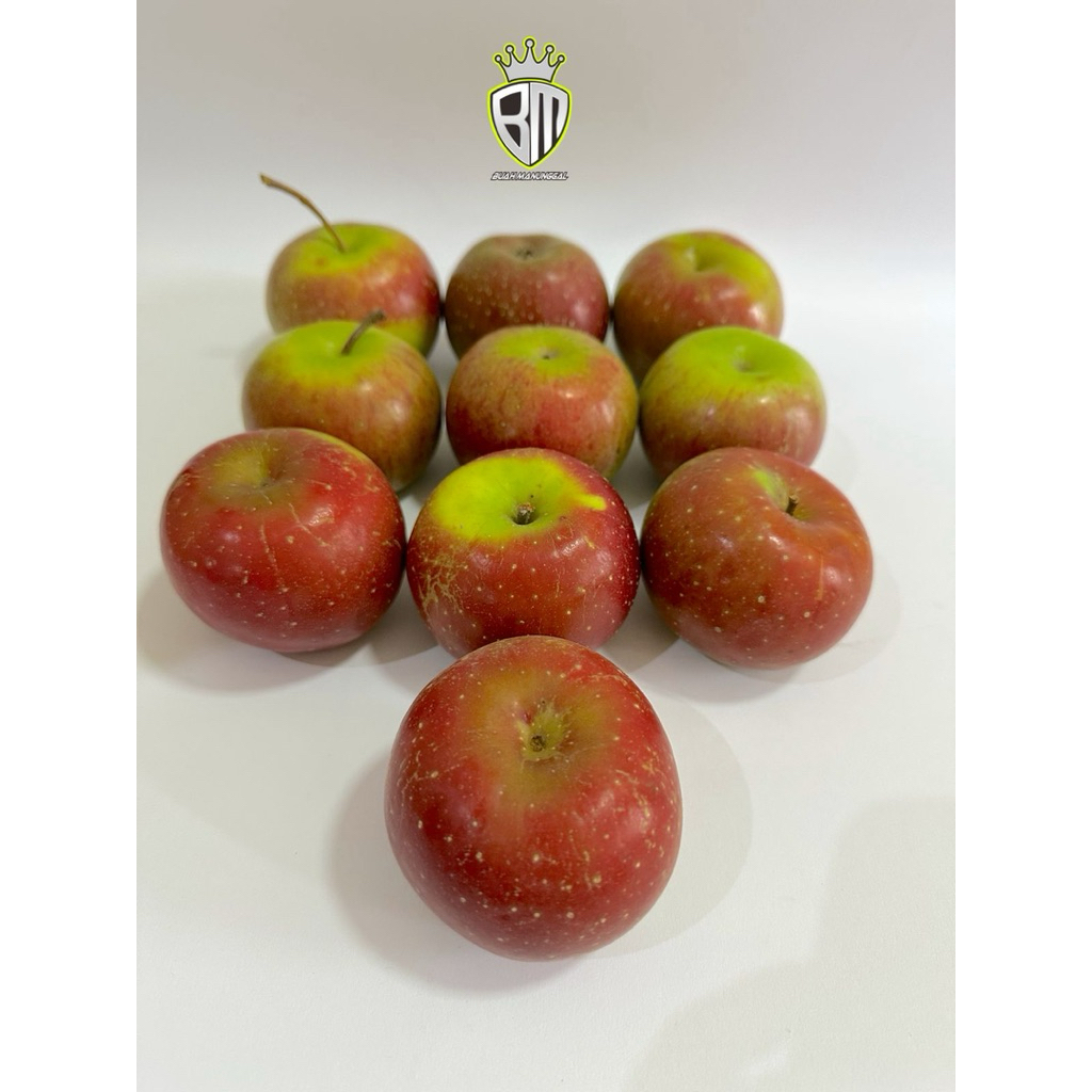 

Apel Malang Rome Beauty Besar ukuran 8-11 buah