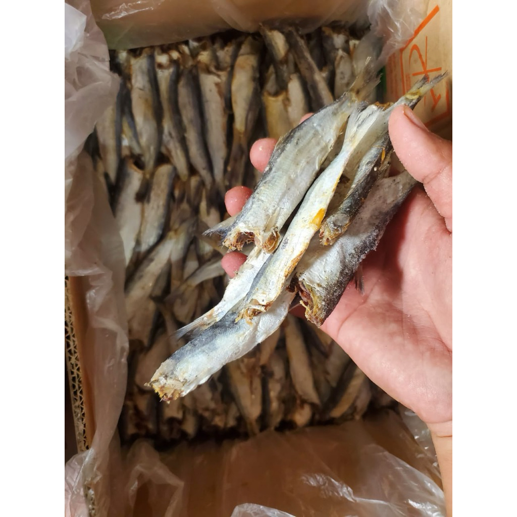 

ikan asin japu 1kg tanpa kepala