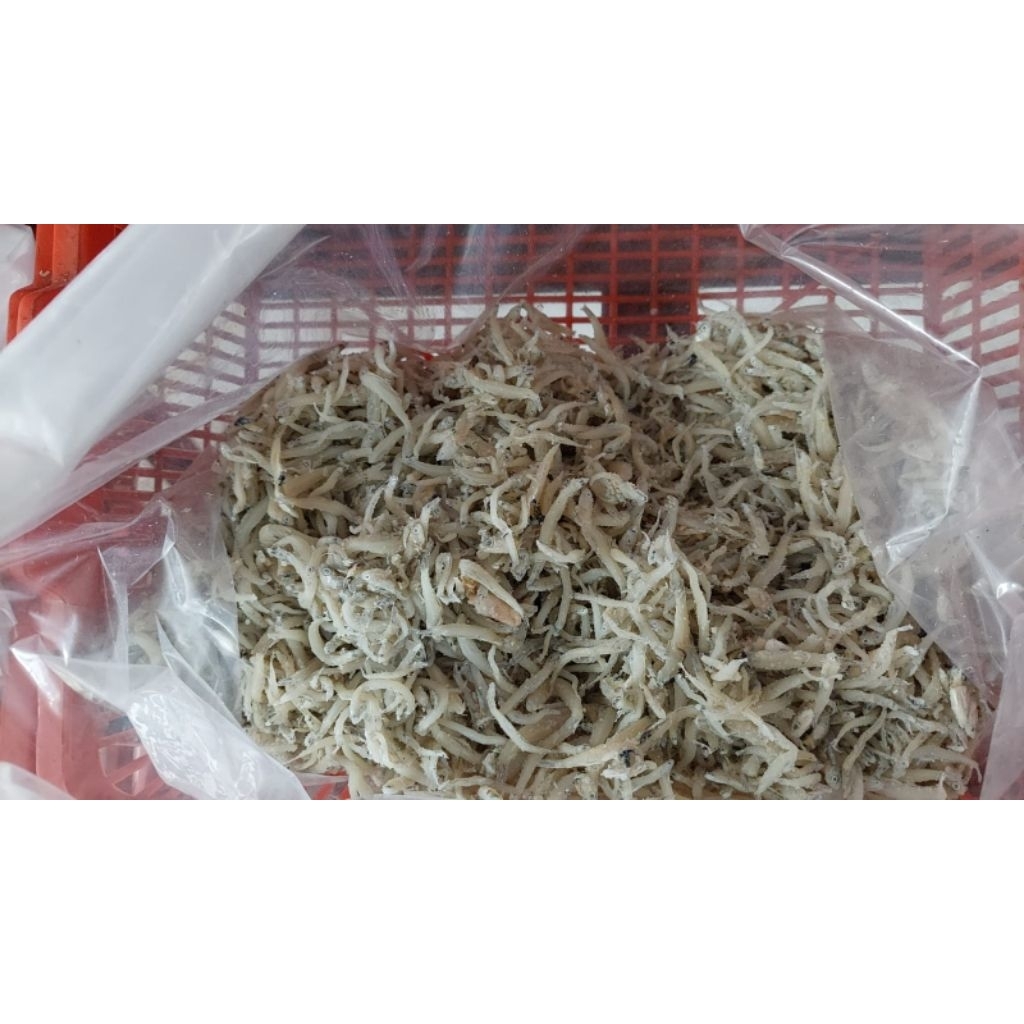 

Ikan Asin Teri Nasi Per Ons