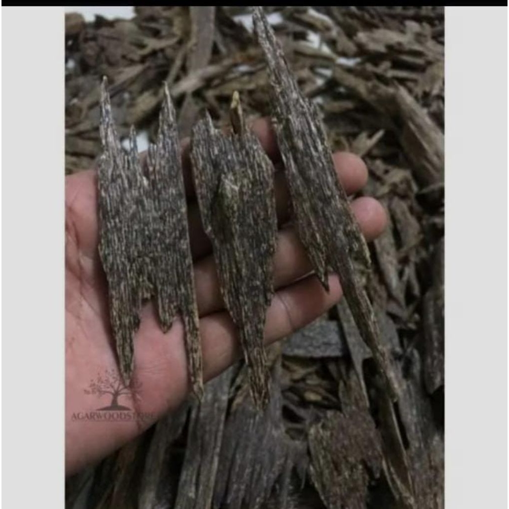 BAKARAN GAHARU KALIMANTAN + ARANG