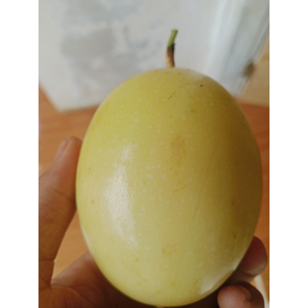 

Buah markisa /1kg