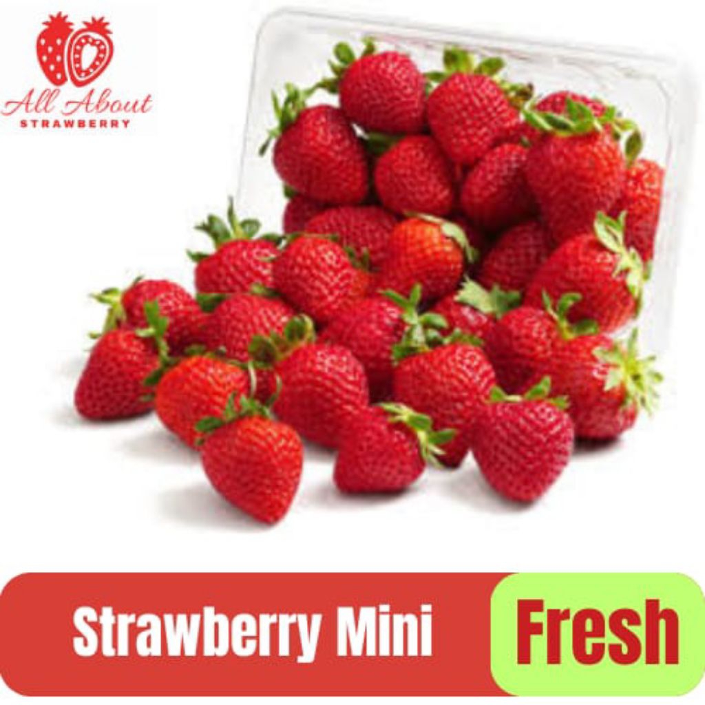 

Buah Strawberry Fresh Mini